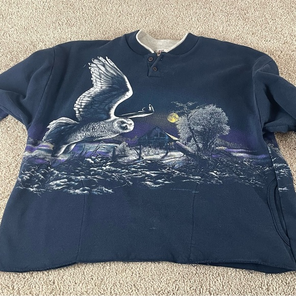 Vintage 90s Oversized Sweatshirt Women’s Large Owl Graphic USA Cropped Indie 113 - Picture 1 of 12